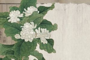 Cultural Icon of Jiangsu: The Charm of Intangible Cultural Heritage “Jasmine Flower”
