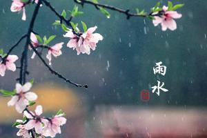Rain Water